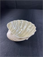 Belleek Porcelain Shell