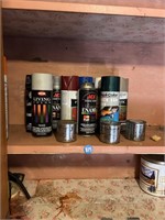 Spray Paint Lot  (Tool Shed)