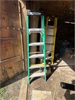 Ladder  (Tool Shed)