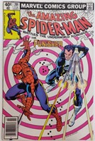 Marvel Amazing Spider-Man #201 Punisher