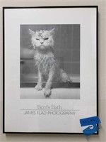 18 1/4 X 24 1/4" CAT BATH PHOTO