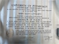 University of Pittsburgh Degree