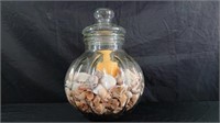 Large Jar of Sea Shells