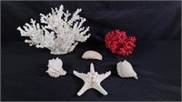 Coral, Starfish & Shell Decor