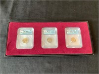 3 Buffalo Coins with Case