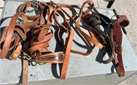 4 Leather Calf Halters