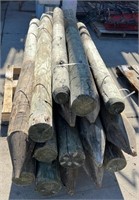 Quantity of Used Large Fence Posts.  #LOC: #2S