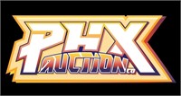 YOU ARE BIDDING IN THE PHX AUTION CO AUCTION