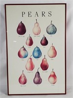 Assorted Pears Art Print