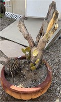 Pottery Planter with Cacti ++