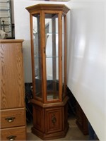 Lighted Curio Cabinet w/ Mirrored Back Panel