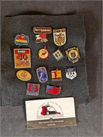 Collectible pins (14)