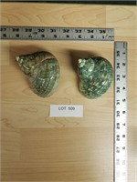 Lot of 2 Green Spiral Sea Shells