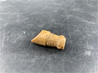 Fossilized ivory artifact 1.5" long, plug for blow