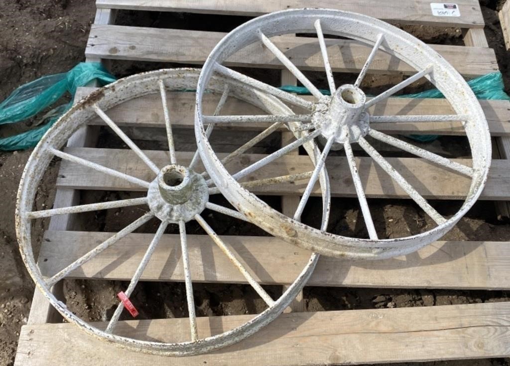 (T) 2 Metal Spoked Rims, 25in Diameter