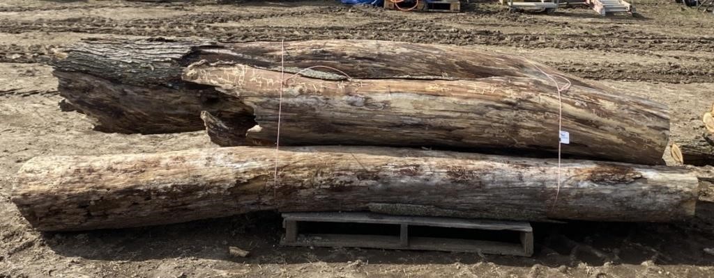 (AM) Logs/Firewood