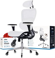 Oline ErgoPro Ergonomic Office Chair - Rolling Des