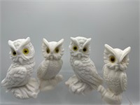 Italy owls