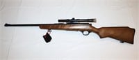 Glenfield Model 25 .22 rifle w 2 mags.