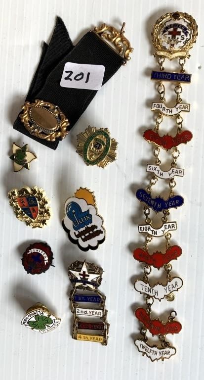 Assortment of Pins etc (see photo)