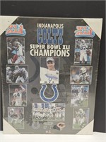 COLTS Superbowl XLI Picture 16 x 20