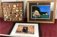 Artwork/Fossil Display/Photos
