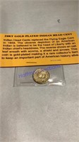 Gold plated Indian head cent