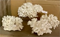 4 pcs Natural White Coral