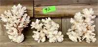 3 pcs Branch and Finger Coral