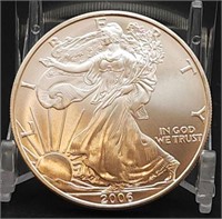 2006 American Silver Eagle UNC