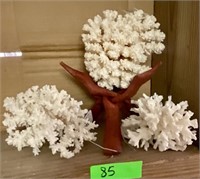Lace Coral with Branch and Brown Stem Coral
