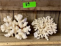 Corallium Konjoi and Brown Stem Coral