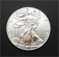 2016 Silver American Eagle - BU