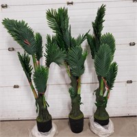 Faux Potted Palms