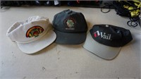Collection of 3 Ball Hats
