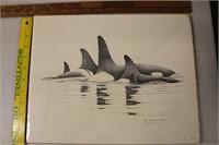 Orca Pod Drawing by Jack Tavenner