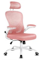 Ergonomic Chair with Cushion. New