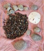 Petoskey Stones, Assorted Rocks and Pebbles & More