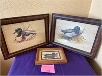 Three framed  duck prints #237