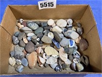 Box of Small Rocks & Sea Shells