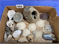 Box of Coral, Sea Shells, Rocks & Sand Dollars