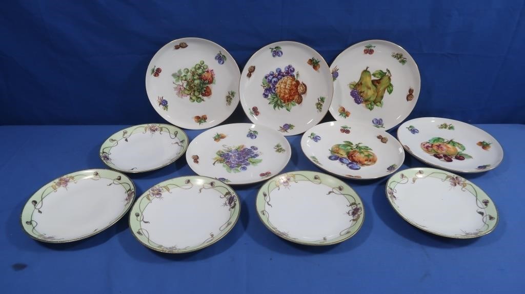 Bohemian China (Czech) Plates, Hand Painted