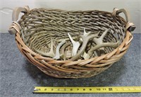 Whitetail Antlers and Basket