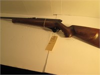 Mossberg 151 22LR Semi-Auto Rifle
