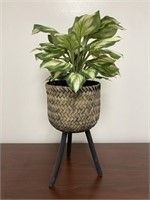 Artificial decorative plant on stand. 3' tall