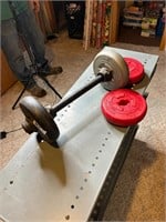 Dumbbell with Weights