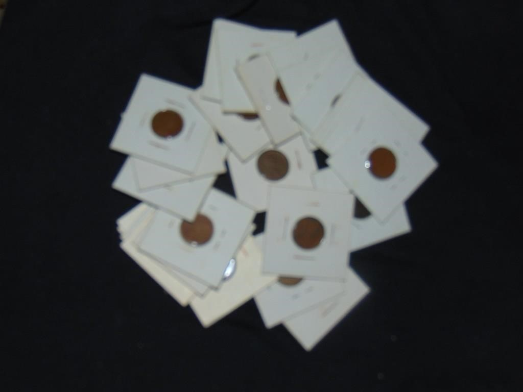 (25) Unsorted Wheat Pennies