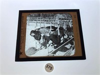 Glass Slide Keystone View Co. see details 375