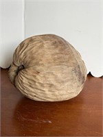 Coconut Head Decor