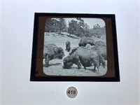 Glass Slide Keystone View Co. see details 418